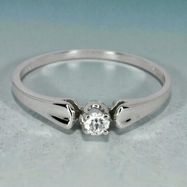 Anillo 1022