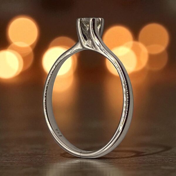 Anillo 1124